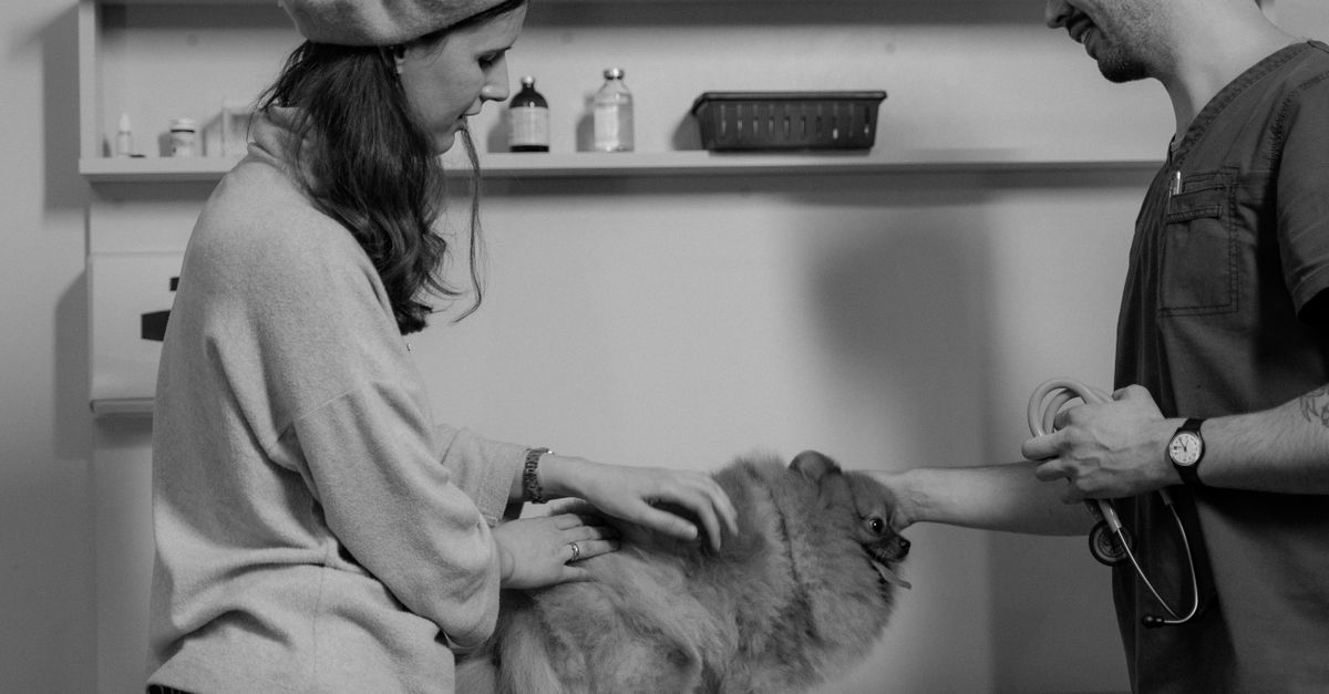 Veterinária e pet — InovAI